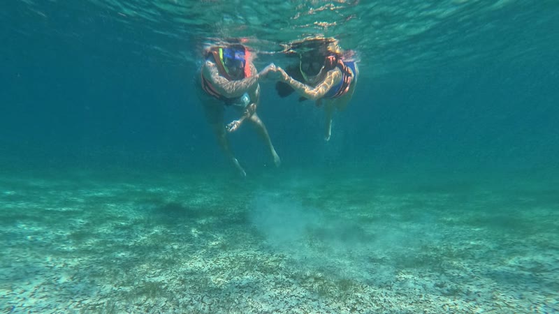 Two snorkelers holding hands at the surface, seen from below