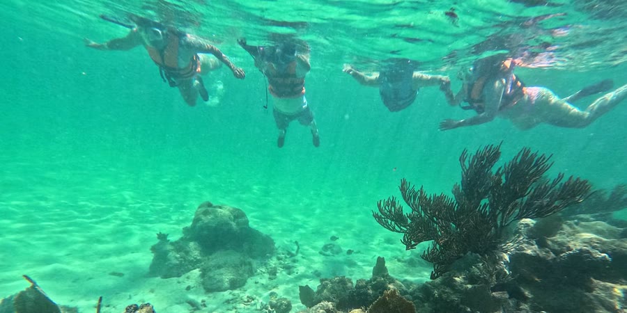 A group of snorkelers floating above a shallow Caribbean reef